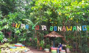 WhatsApp-Image-2021-02-16-at-17.52.39