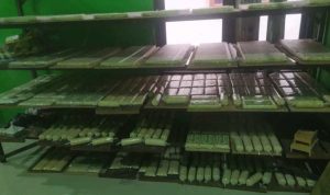 WhatsApp-Image-2021-01-27-at-18.11.55