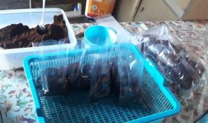 WhatsApp-Image-2021-06-30-at-22.40.23