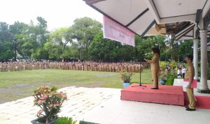 WhatsApp-Image-2022-01-03-at-10.34.34