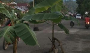 IMG_20220127_201915-720x453