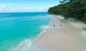 13fbe044-3a67-4dca-a7a8-5e79809c80a8