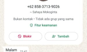 WhatsApp Image 2025-11-17 at 12.49.26