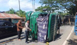 WhatsApp-Image-2025-11-20-at-11.05.49-1-768x576