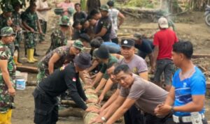 WhatsApp-Image-2025-12-08-at-11.25.04-757x420